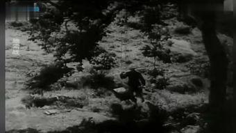 在线观看地雷战,烽火岁月里的英雄传奇  第3张